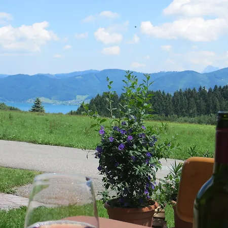 Brigitte Perner Nussdorf am Attersee