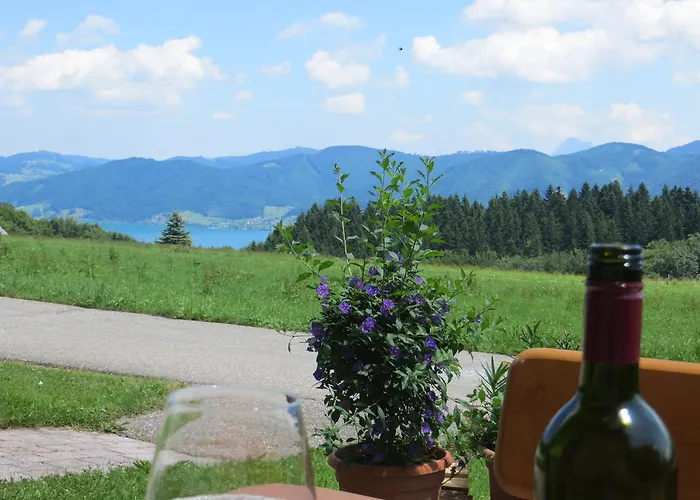 Brigitte Perner Nussdorf am Attersee